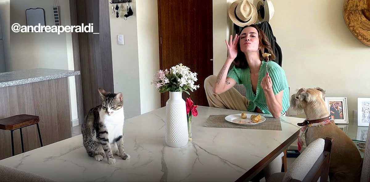 El estilo que creeo Andrea Peraldi