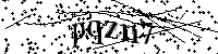 Por favor, escriba las letras y los números siguientes