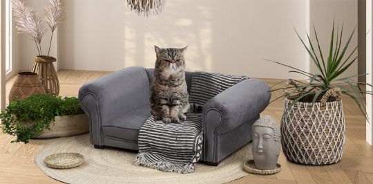 Cama para Mascota Lizza Gris Oxford