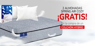 Almohadas Spring Air Cozy 