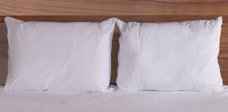 Juego de Almohadas Polyblanc