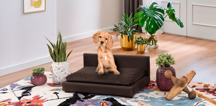 Cama para Mascota Petit Café