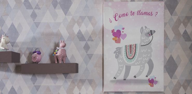 Cuadro Llama Gris con Rosa 