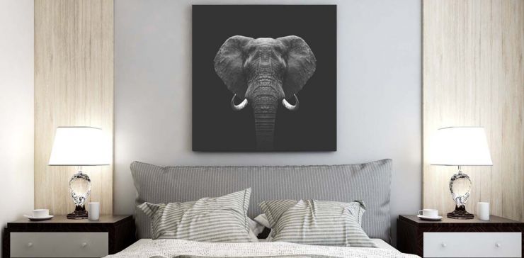 Cuadro 60 x 60 cm Elefante Multicolor IV