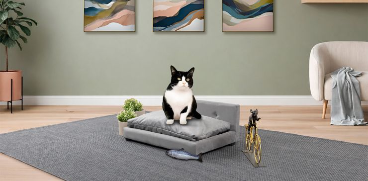 Cama para Mascota Petit Gris