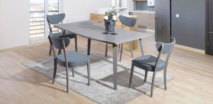 Comedor Rectangular Freyser Gris con 4 Sillas