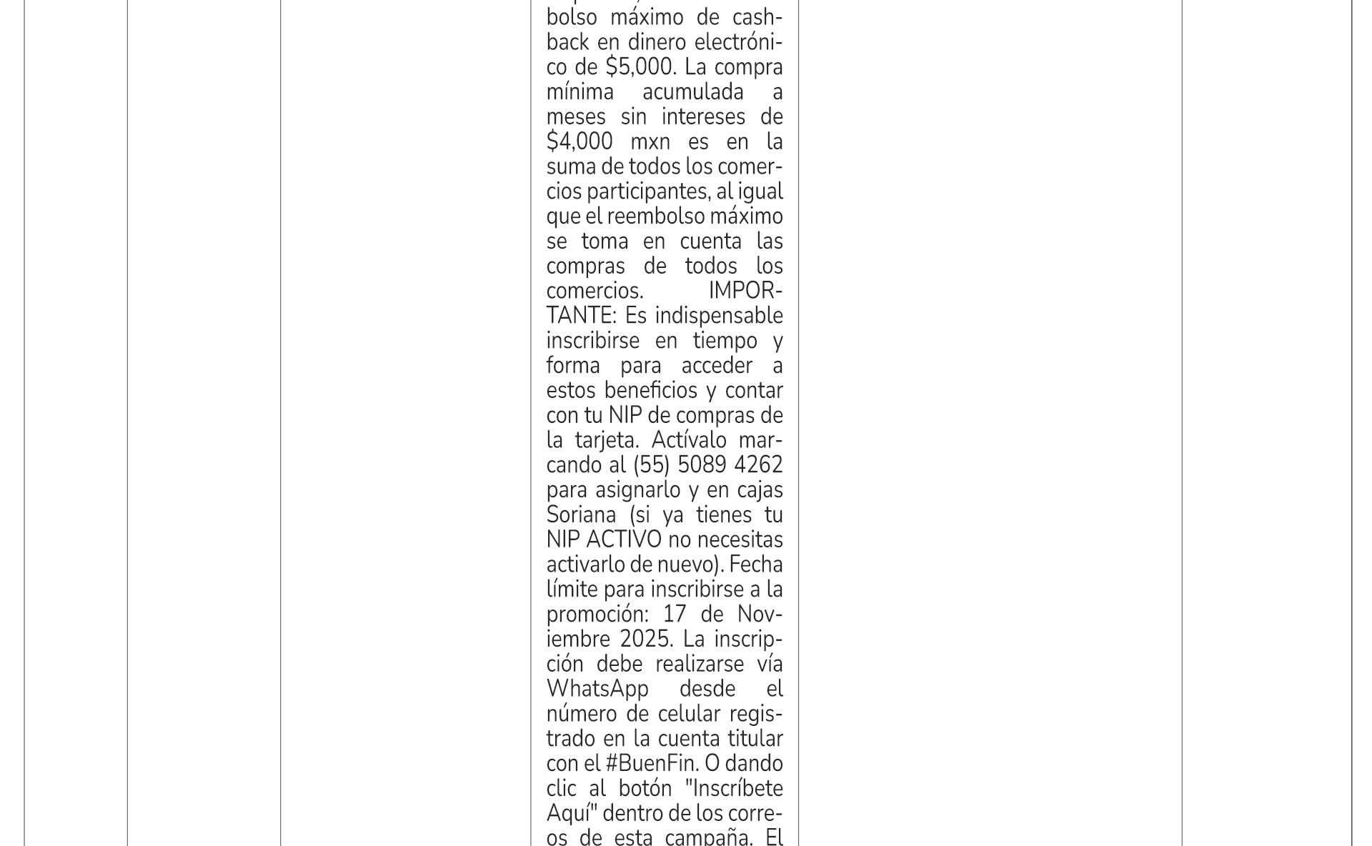 terminosyc-2025-BF_10