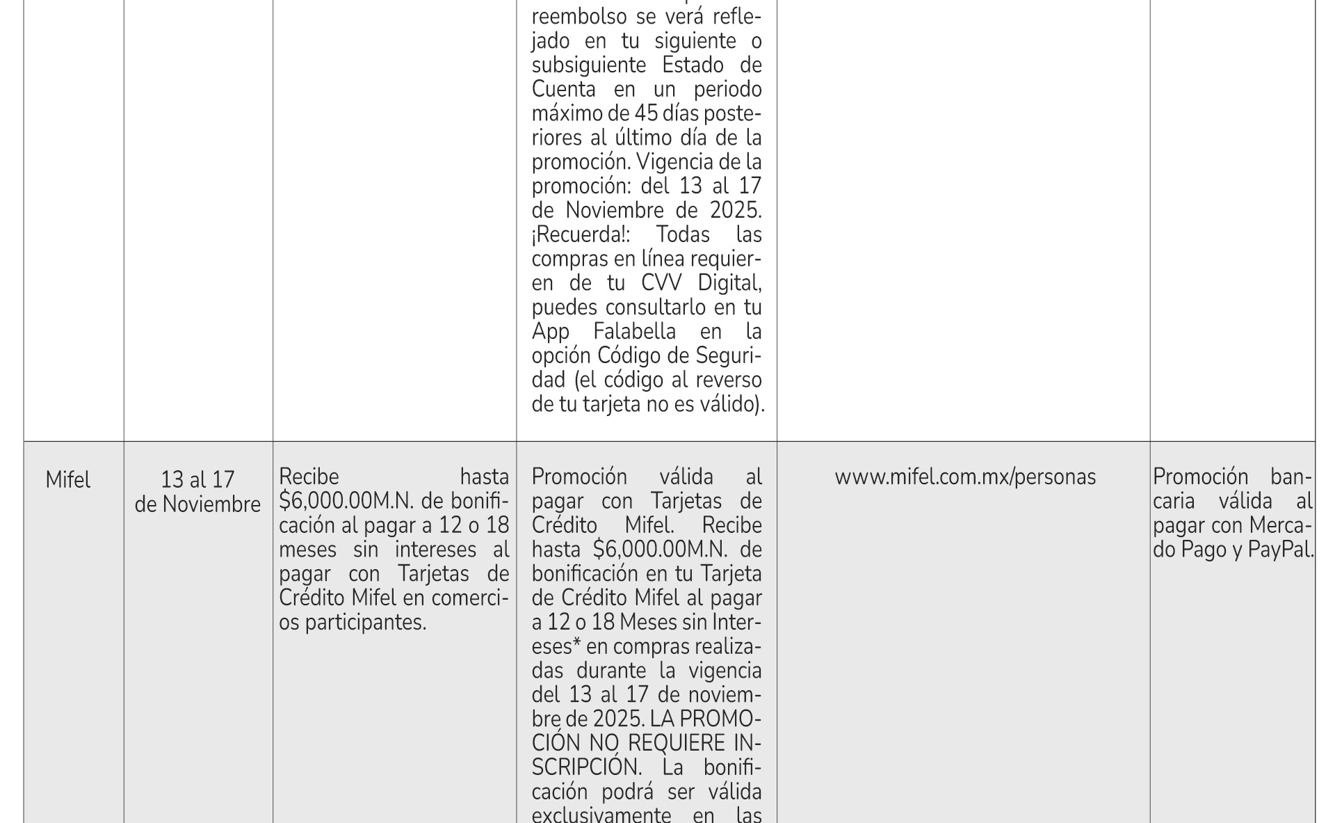 terminosyc-2025-BF_11