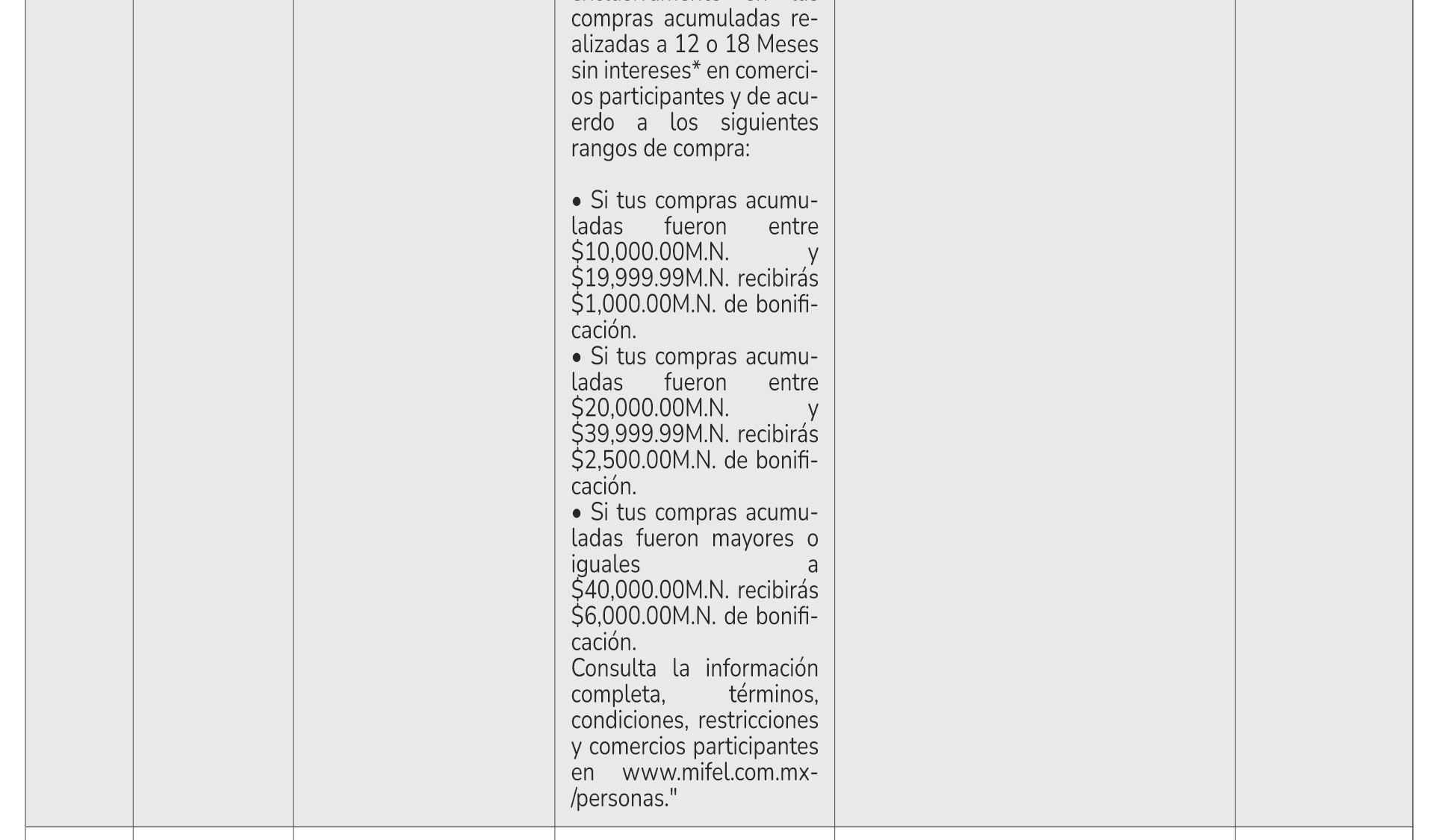 terminosyc-2025-BF_12