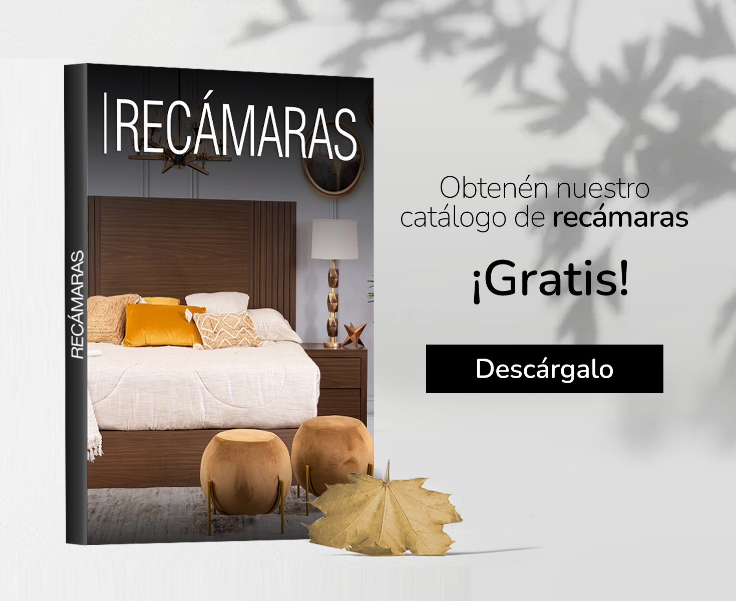 thumbnail_bn-mov-catalogo